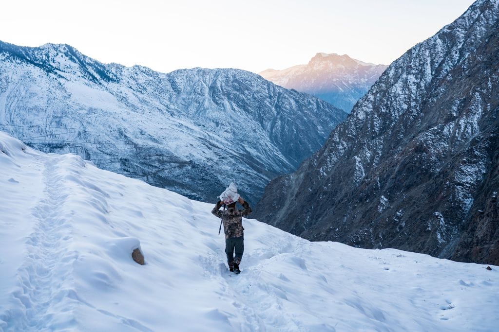 WS_The Juniper’s Shadow_10